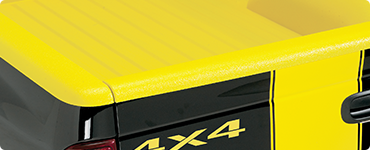 Custom Color Options